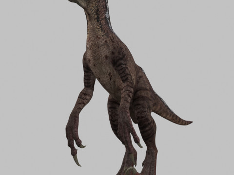Colossal Dinosaur Pack 8K - fully animated 3D Model