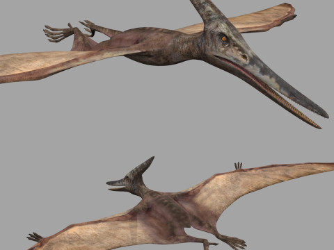 Colossal Dinosaur Pack 8K - fully animated 3D Model