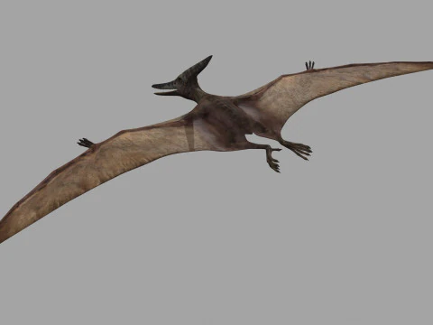 Colossal Dinosaur Pack 8K - completamente animato Modello 3D