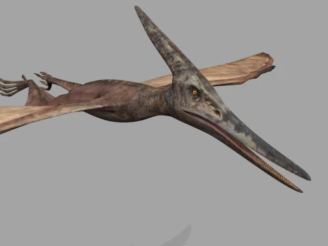 Colossal Dinosaur Pack 8K - completamente animato Modello 3D