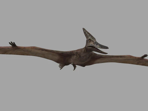 Colossal Dinosaur Pack 8K - completamente animato Modello 3D