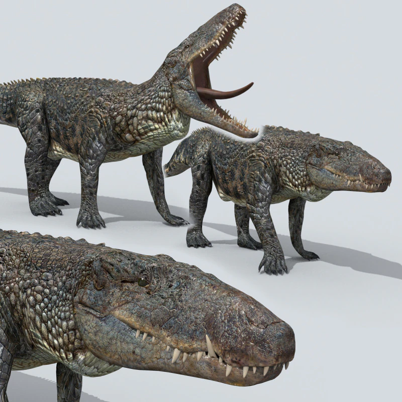 Postosuchus Barinasuchus Fasolasuchus HD - animato in 3D Modello 3D .c4d .max .obj .3ds .fbx .stl .blend 
