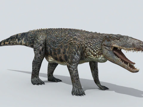 Postosuchus Barinasuchus Fasolasuchus HD - animato in 3D Modello 3D