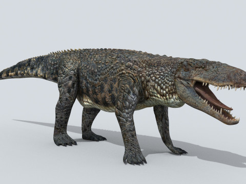 Postosuchus Barinasuchus Fasolasuchus HD - 3d animated 3D 模型
