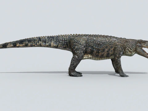 Postosuchus Barinasuchus Fasolasuchus HD - animato in 3D Modello 3D