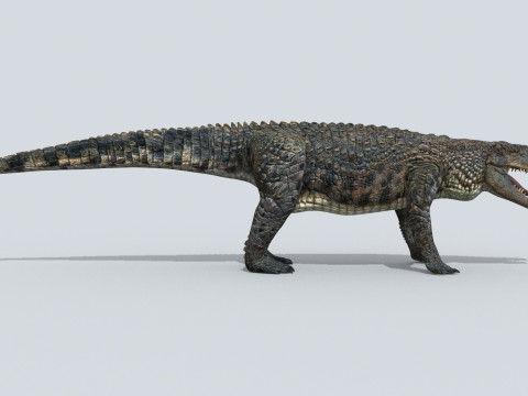 Postosuchus Barinasuchus Fasolasuchus HD - 3d animated 3D 模型