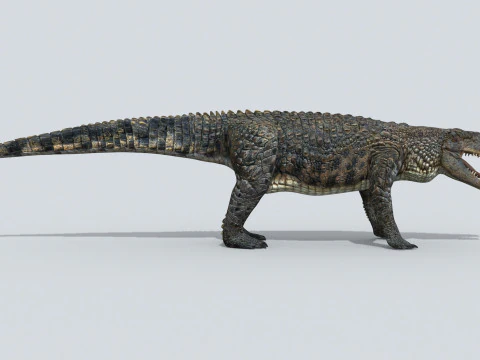 Postosuchus Barinasuchus Fasolasuchus HD - animato in 3D Modello 3D