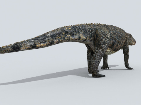 Postosuchus Barinasuchus Fasolasuchus HD - 3d animated 3D 模型