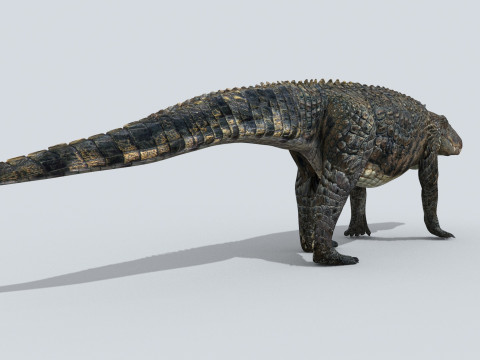 Postosuchus Barinasuchus Fasolasuchus HD - 3d animated 3D 模型
