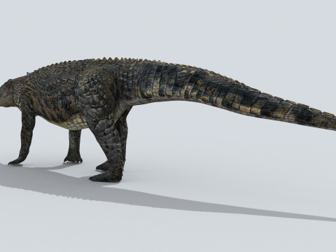 Postosuchus Barinasuchus Fasolasuchus HD - 3d animated 3D 模型