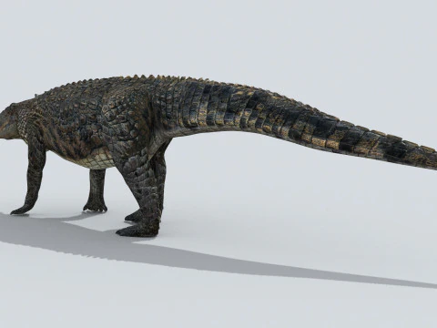 Postosuchus Barinasuchus Fasolasuchus HD - animato in 3D Modello 3D