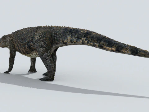 Postosuchus Barinasuchus Fasolasuchus HD - animato in 3D Modello 3D