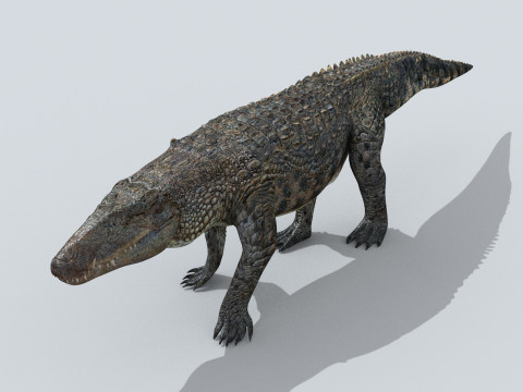 Postosuchus Barinasuchus Fasolasuchus HD - 3d animated 3D 模型