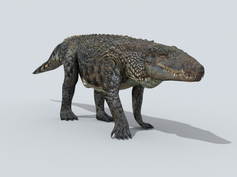 Postosuchus Barinasuchus Fasolasuchus HD - 3d animated 3D 模型