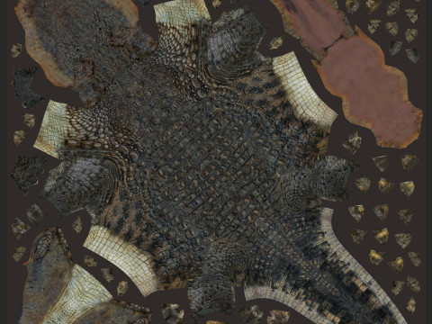 Postosuchus Barinasuchus Fasolasuchus HD - 3d animated 3D 模型