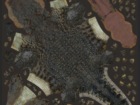 Postosuchus Barinasuchus Fasolasuchus HD - animato in 3D Modello 3D