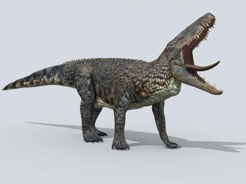 Postosuchus Barinasuchus Fasolasuchus HD - 3d animated 3D 模型