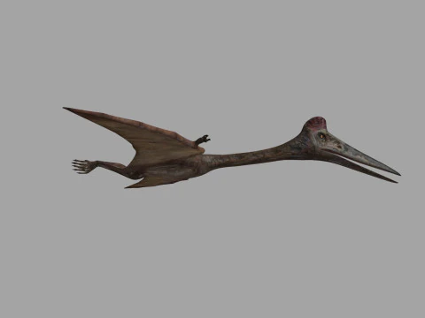 Quetzalcoatlus HD - 3d animated model 3D Model