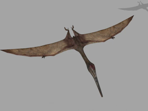 Quetzalcoatlus HD - 3d animated model 3D Model