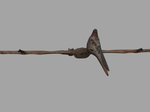 Quetzalcoatlus HD - 3d animated model 3D Model