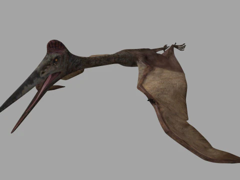 Quetzalcoatlus HD - 3d animated model 3D Model