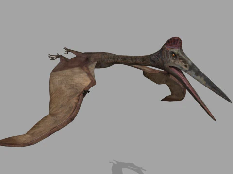 Quetzalcoatlus HD - 3d animated model 3D Model