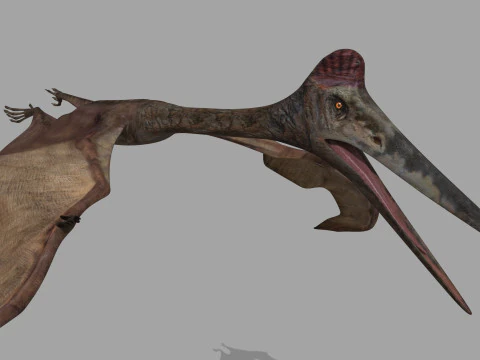Quetzalcoatlus HD - 3d animated model 3D Model