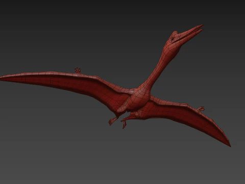Quetzalcoatlus HD - 3d animated model 3D Model