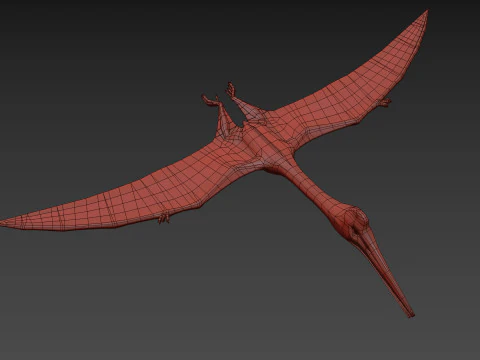 Quetzalcoatlus HD - 3d animated model 3D Model
