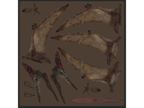 Quetzalcoatlus HD - 3d animated model Modelo 3D