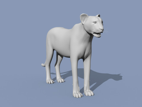 Cheetah Shape 3Dモデル