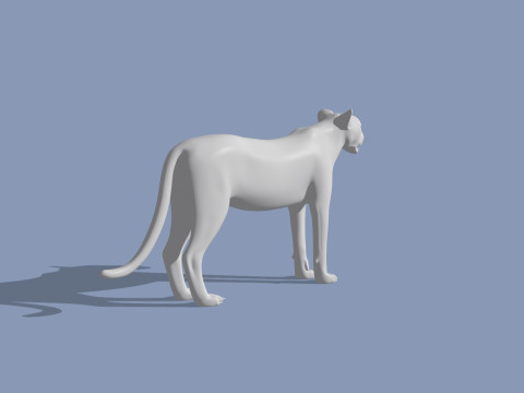 Cheetah Shape 3Dモデル