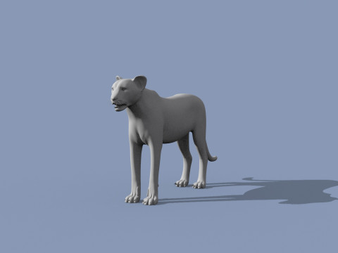 Cheetah Shape 3Dモデル