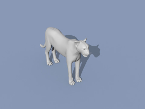Cheetah Shape 3Dモデル
