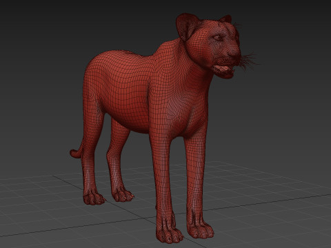 Cheetah Shape 3Dモデル