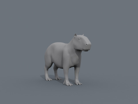 Capybara Capivara Shape 3D 모델