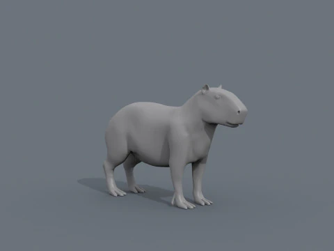 Capibara Forma Capivara Modello 3D