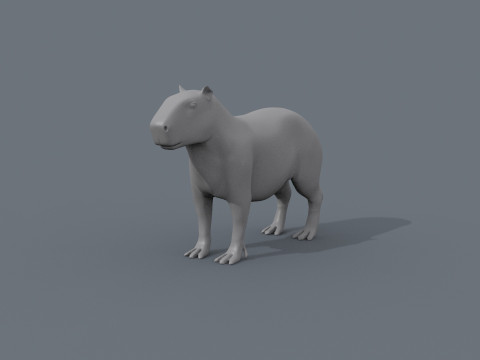 Capybara Capivara Shape 3D 모델