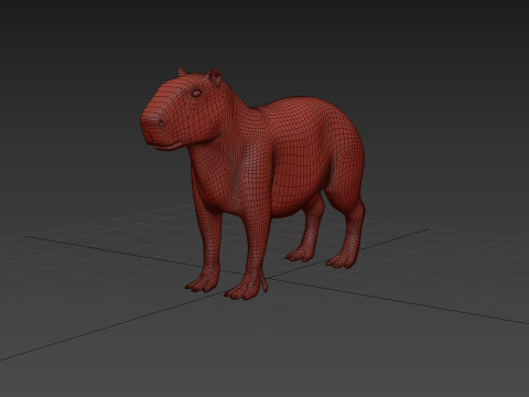 Capybara Capivara Shape 3D 모델