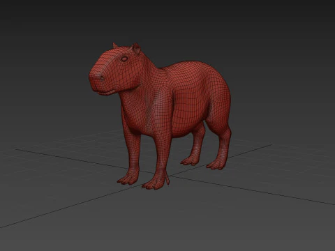 Capibara Forma Capivara Modello 3D