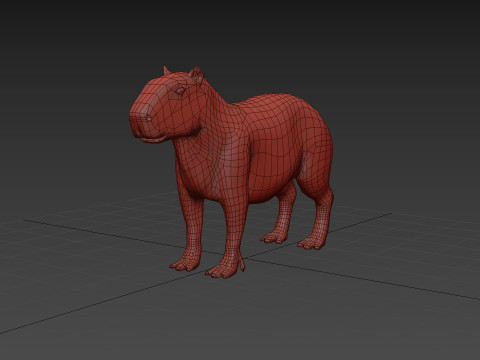 Capybara Capivara Shape 3D 모델