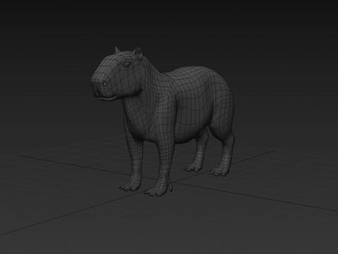 Capybara Capivara Shape 3D 모델