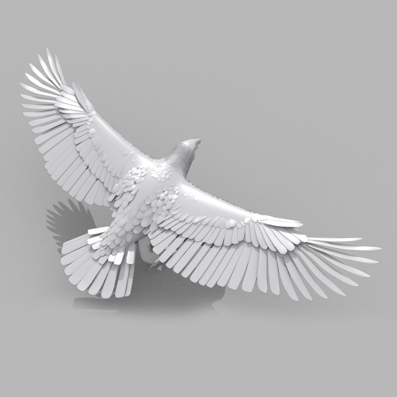 Eagle guia Shape Modelo 3D .c4d .max .obj .3ds .fbx .stl .blend