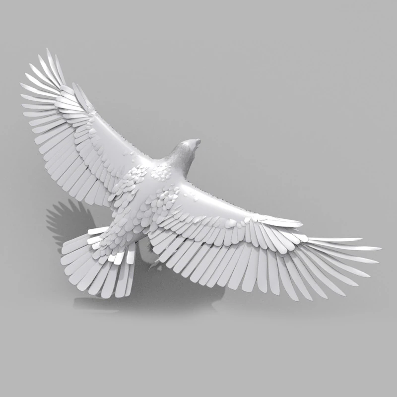 Eagle-guia-vorm 3D Model .c4d .max .obj .3ds .fbx .stl .blend 