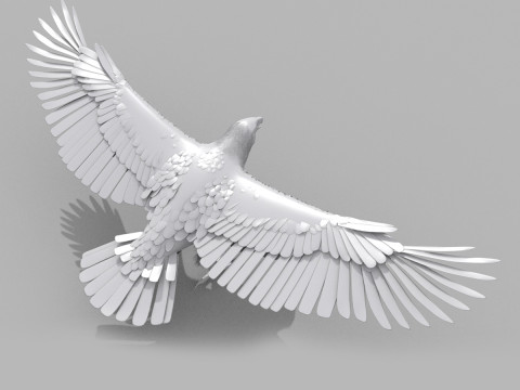 Eagle guia Shape 3D मॉडल