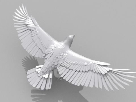 Eagle guia Shape Modelo 3D