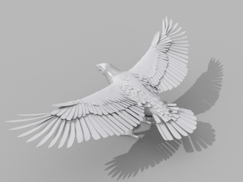 Eagle guia Shape Modelo 3D
