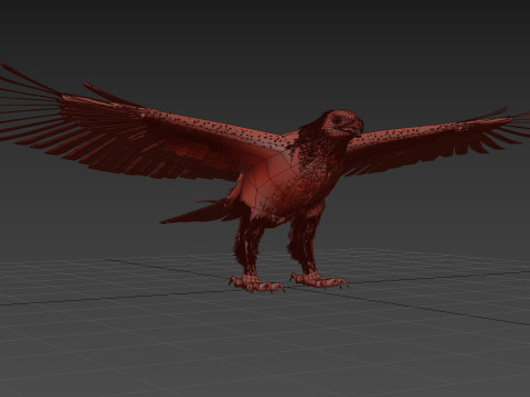 Eagle guia Shape Modelo 3D