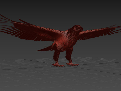 Eagle guia Shape Modelo 3D