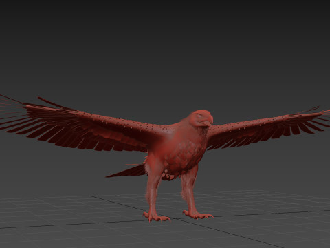 Eagle guia Shape Modelo 3D